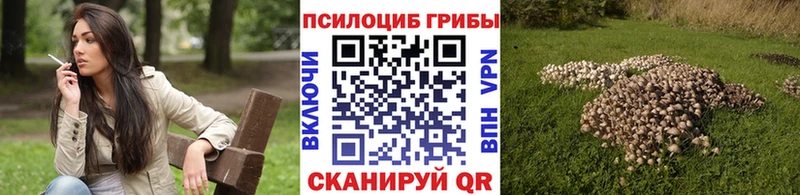 Псилоцибиновые грибы GOLDEN TEACHER  Переславль-Залесский 